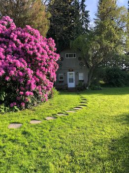 Maison De Campagne Aux Fleurs Sauvages - État de New York