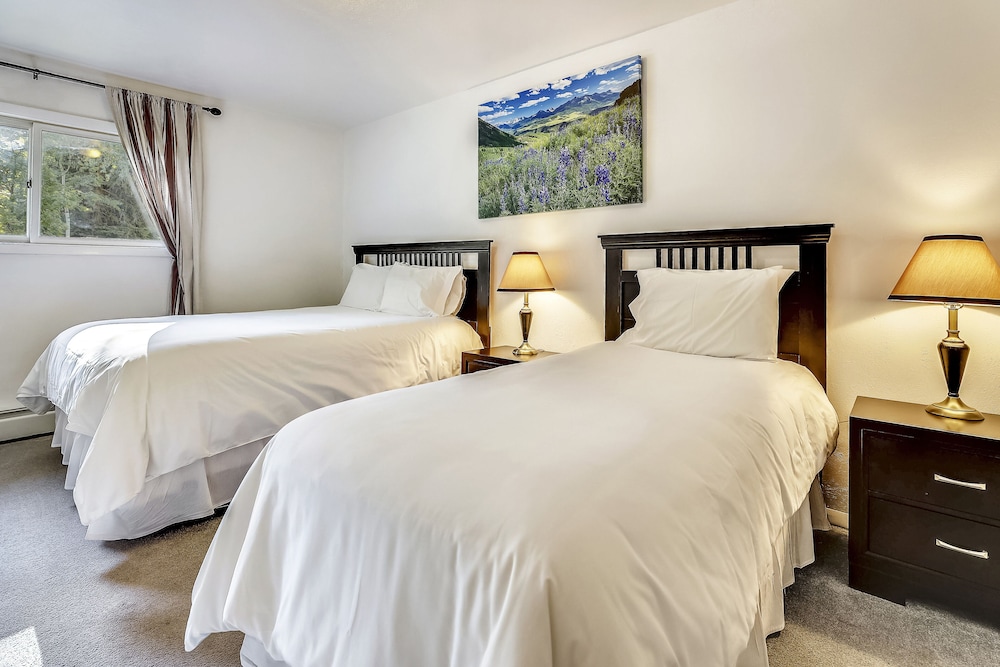 3 Bedroom Mountain Vacation Rental Located in the Heart of Downtown Aspen Just One Block from Aspen Mountain - Aspen