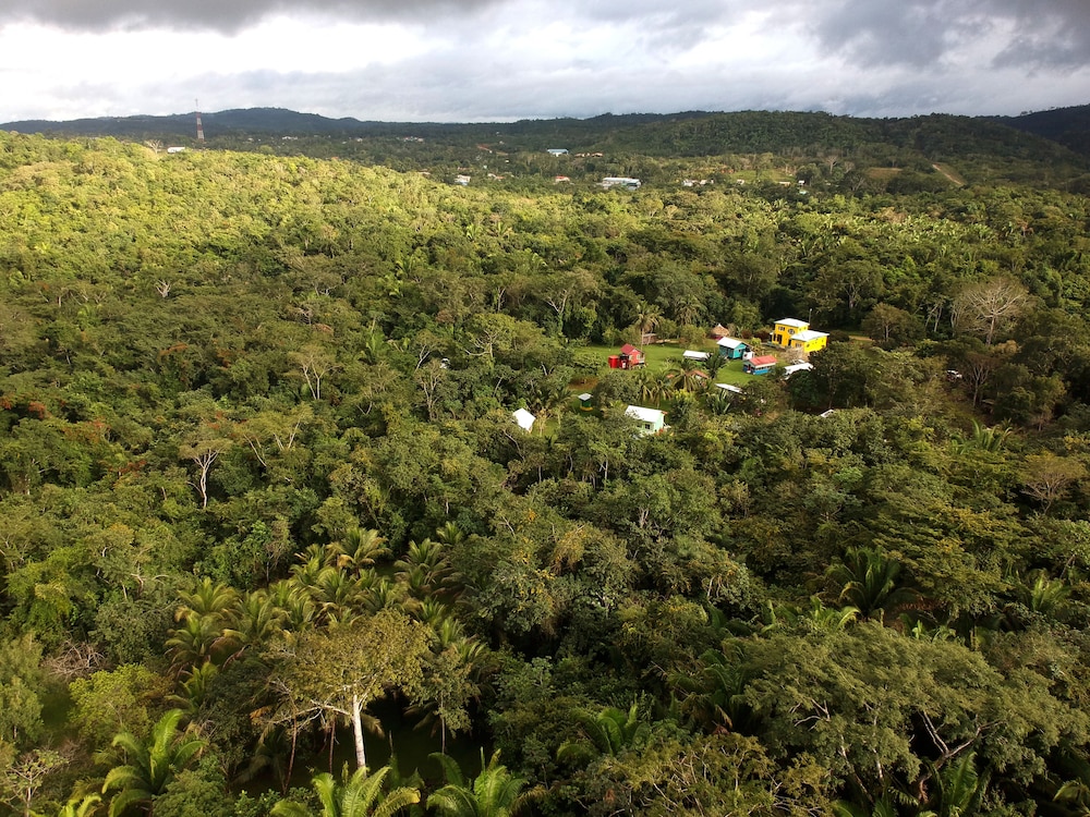 Lower Dover Jungle Lodge & Maya Ruins - Hostel - Belize