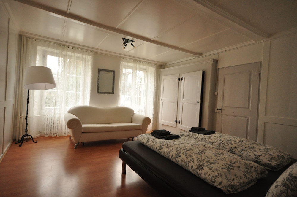 Spacious Ground Floor Apartment.  Sleeps 5 To 12 Guests - Wilderswil