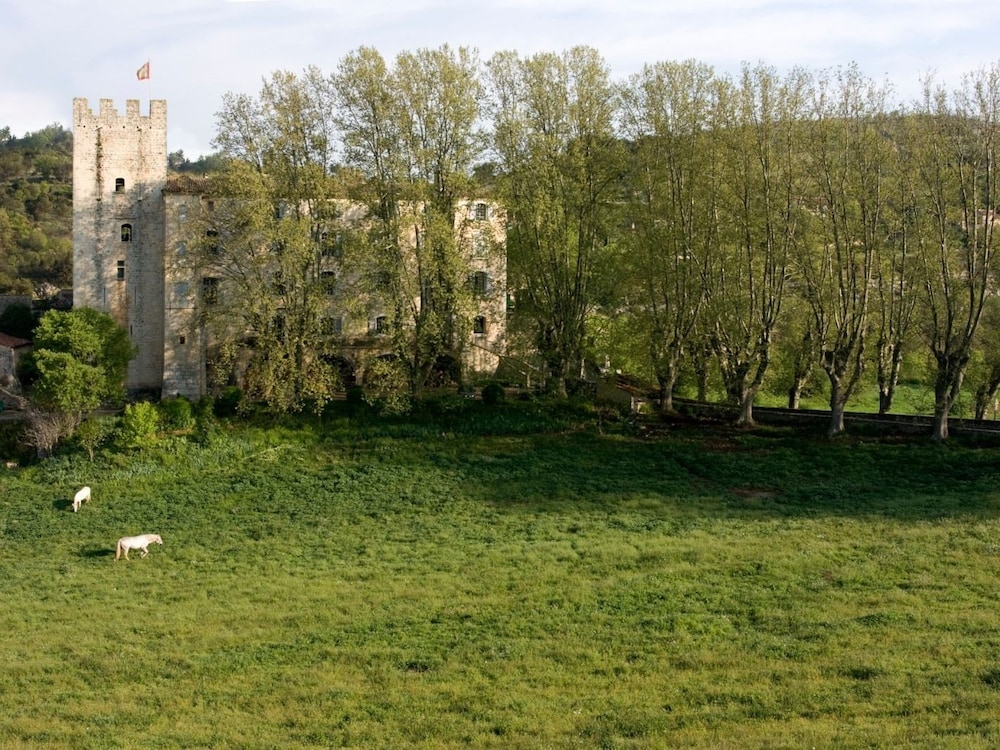 Château D'esparron - Esparron-de-Verdon