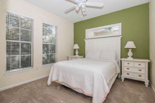 Top Airbnbs & Vacation rentals in Temple Terrace, FL cozycozy
