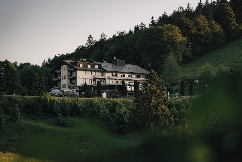 Habitación Confort, 2 - 3 Personas - Berghotel Wiedener Eck - Belchen