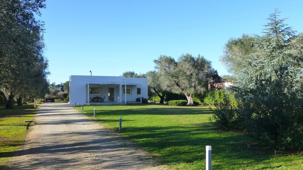 Villa L'olivo Maestro - Mesagne