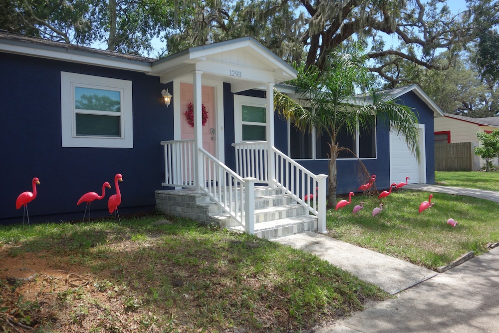 Quiet Bungalow Just Minutes To Clearwater/honeymoom Beaches/dunedin/blue Jays - Clearwater, FL