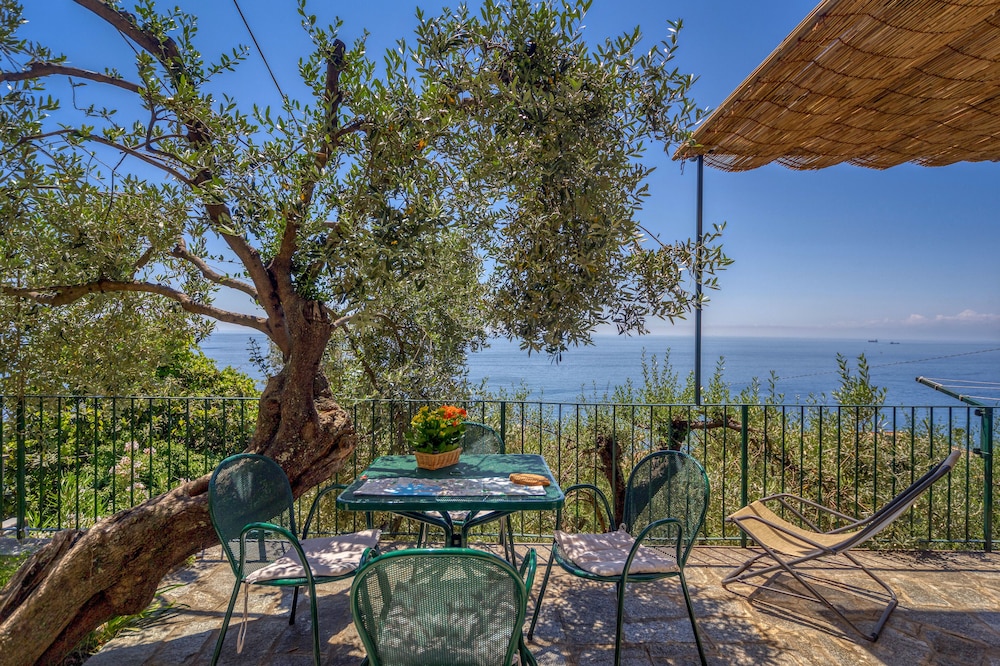 Gli Ulivi Home Two-room Apartment Facing The Sea With Terrace On The Floor And Swimming Pool - Recco