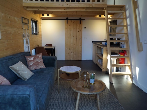 Confortable Appartement Dans Une Maison De Vacances Avec Wifi, Piscine, Tv, Terrasse Et Parking - Oosterbeek