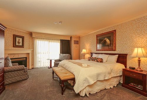 Marine Life Center, Bellingham airbnb, hotels and vacation rentals