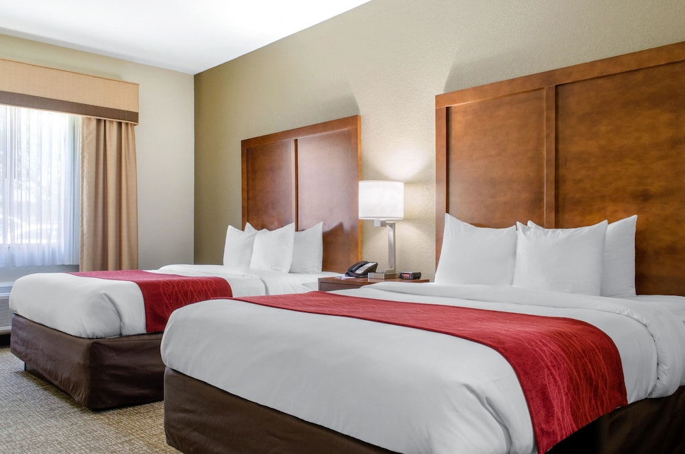 Comfort Inn & Suites Covington - Mandeville - Abita Springs, LA