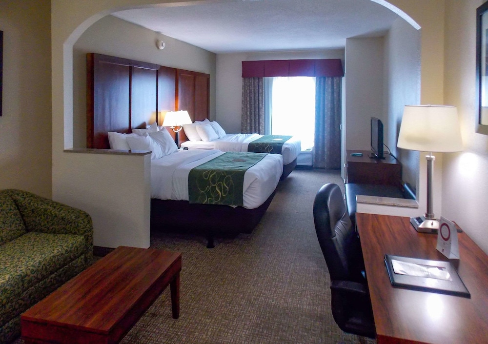 Comfort Suites Inn At Ridgewood Farm - Roanoke