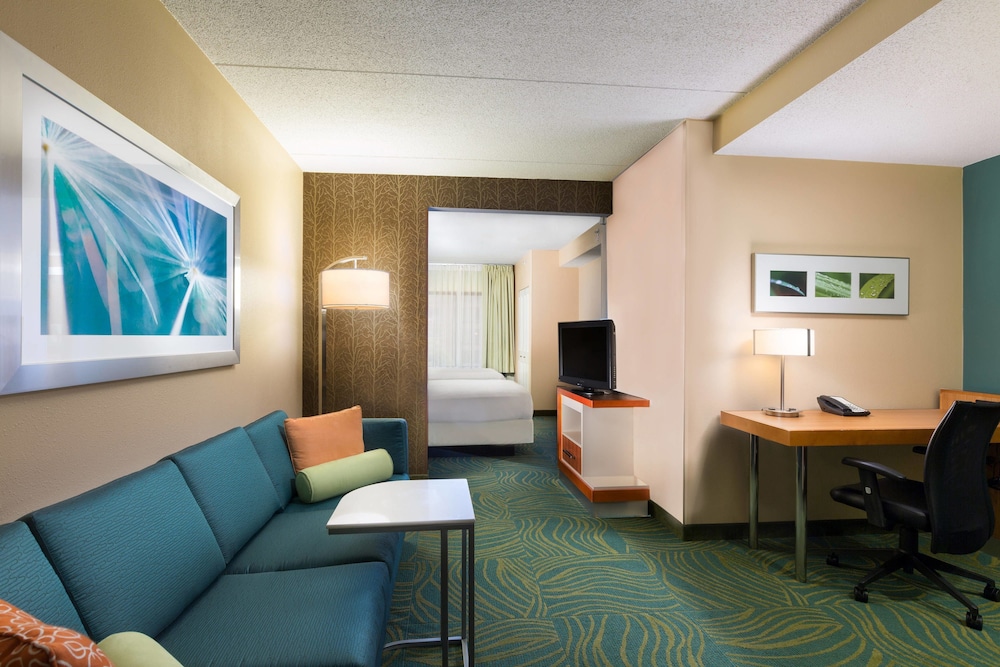 Springhill Suites By Marriott Austin South - Buda, TX