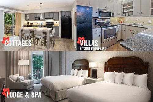 Wild Animal Safari Pine Mountain, airbnb, hotels and