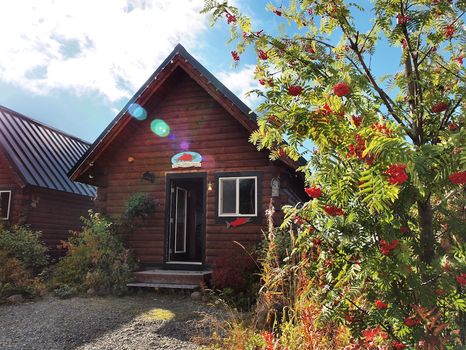 Homer, AK Cabins at the Best Price cozycozy