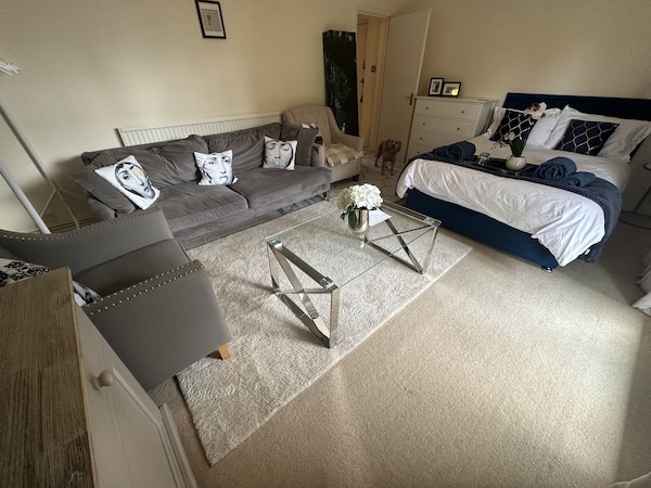 Large Two Bed Apartment In Wimbledon London - 엡솜