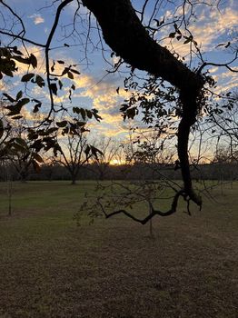 Cairo, GA Holiday Apartments and Self Catering cozycozy