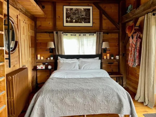 Romantic Cozy Cabin With A View Of The Wetlands - Davenport, NY