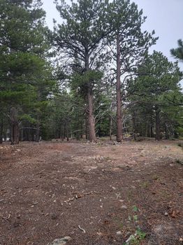 Nederland, CO Holiday Parks and RV rentals cozycozy