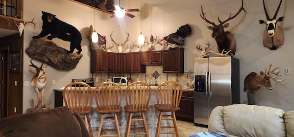 Country Sportsmans Paradise!! Grill, Firepit & Ac - Devil's Lake And Dells Area! - Baraboo, WI