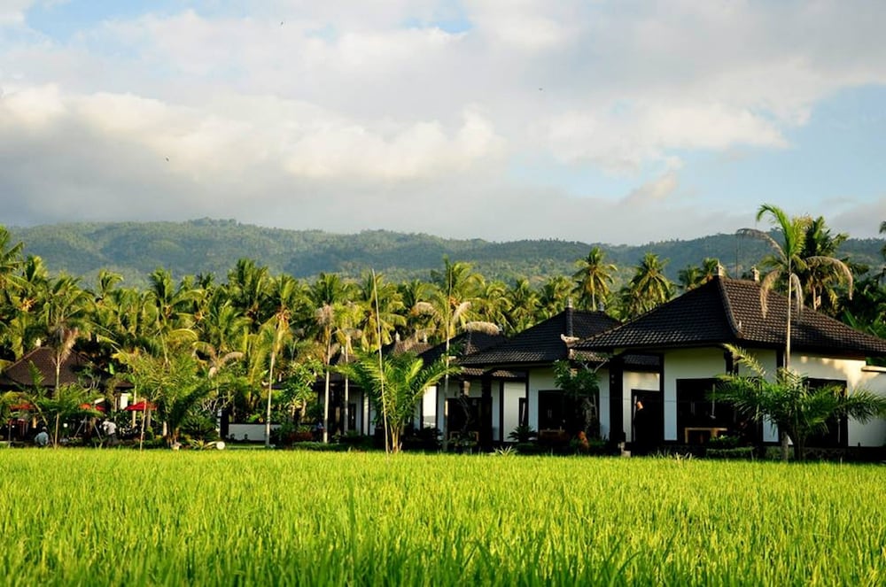 Luxury Villas With Great View At Lovina - Bali