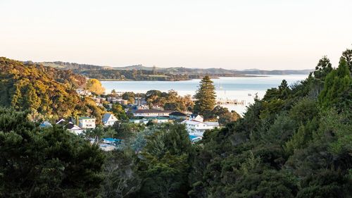 Paihia Apartments and Condos For Rent cozycozy