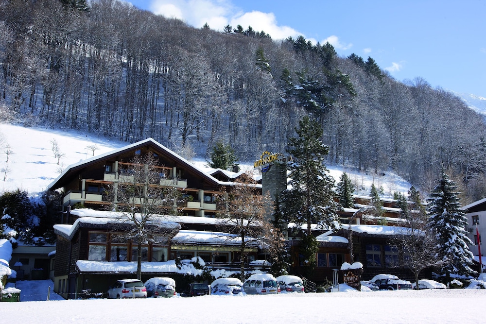 Aktiv & Spa Hotel Alpenrose - Montafon