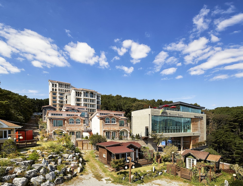 索恩森林酒店 - 南韓