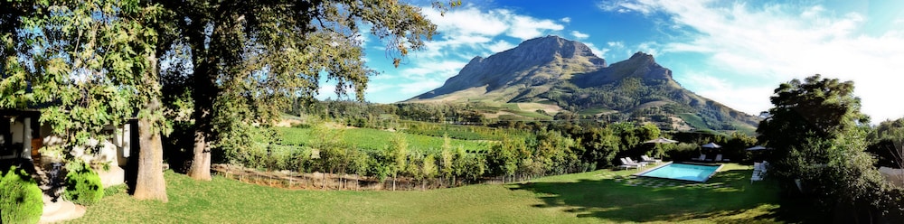 Le Pommier Wine Estate - Stellenbosch