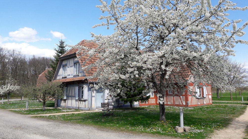 Les Loges de l'Ecomusee D'Alsace - Wittenheim
