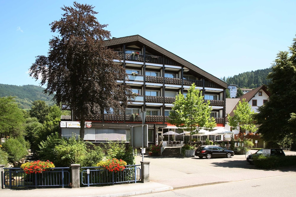 Hotel Pflug Ottenhöfen - Seebach