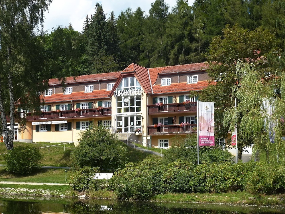 Parkhotel Bad Brambach - Bad Brambach