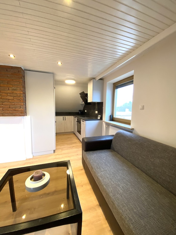 Beautiful Attic Apartment With Loft Character - Augsbourg