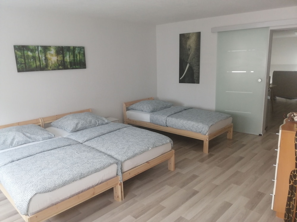 Bright 2 Room Apartment 25 Minutes To Europapark - Lahr