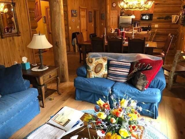 Ritz On The River - Gorgeous Log Cabin In The Heart Of Town And Along The Lake Fork Of The Gunnison - Lake City, CO