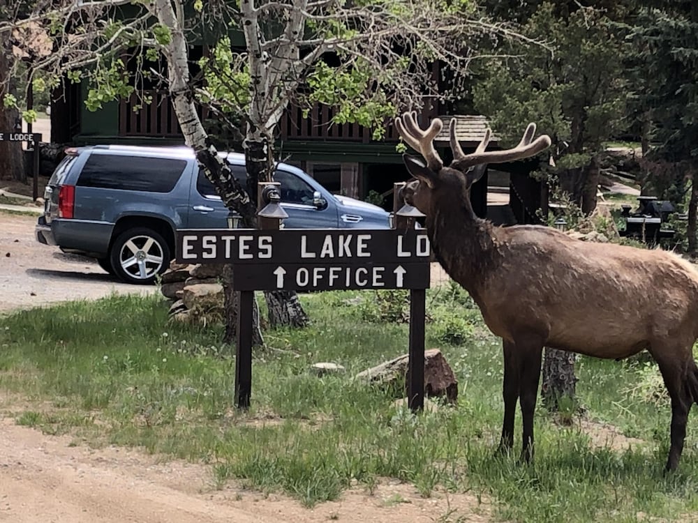 Estes Lake Lodge - Estes Park, CO