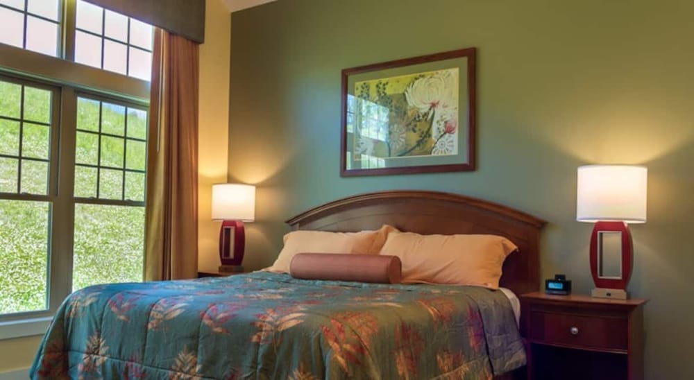 Executive 2 Bedroom Modern Resort Style Mountain Home - Shenandoah, VA