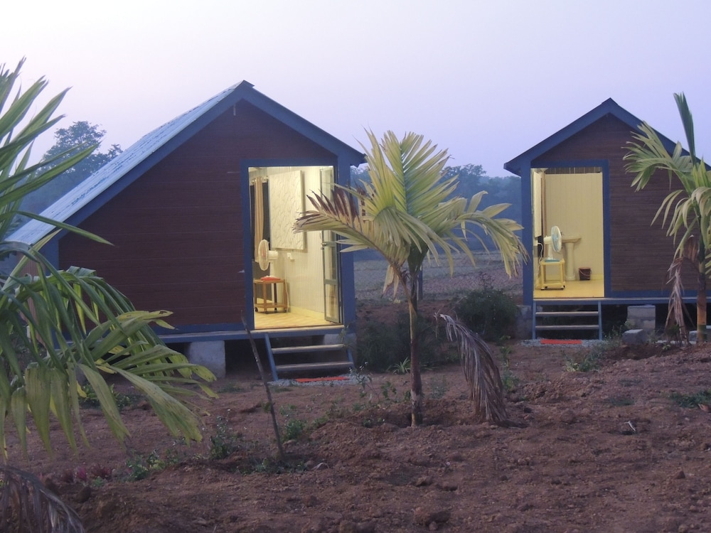 Dandeli - Aura Jungle Stay - Campsite - Karnataka