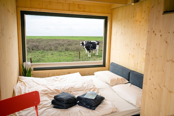 Sustainable Overnight Experience In The Green Tiny House Nature On The North Sea - Spiekeroog