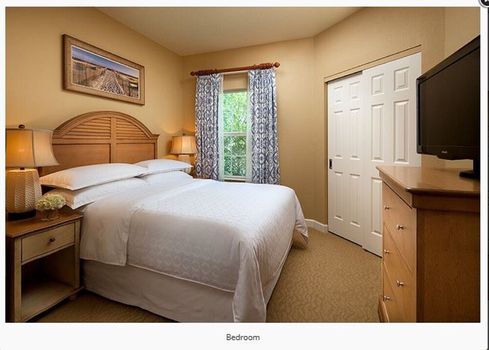 Ripley's Aquarium of Myrtle Beach airbnb, hotels and vacation rentals