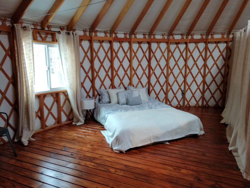 Luxurious Modern Glamping Yurt - Baldwin, MI