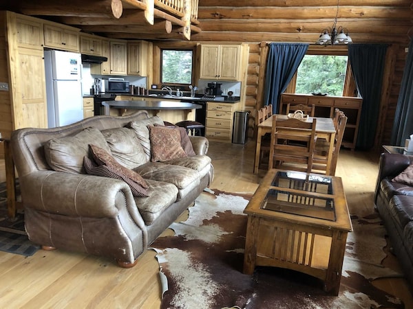 Mountain View Cabin - Beautiful Cabin Just Off Cr30 On The Alpine Loop - Open Year Round! - Lake City, CO