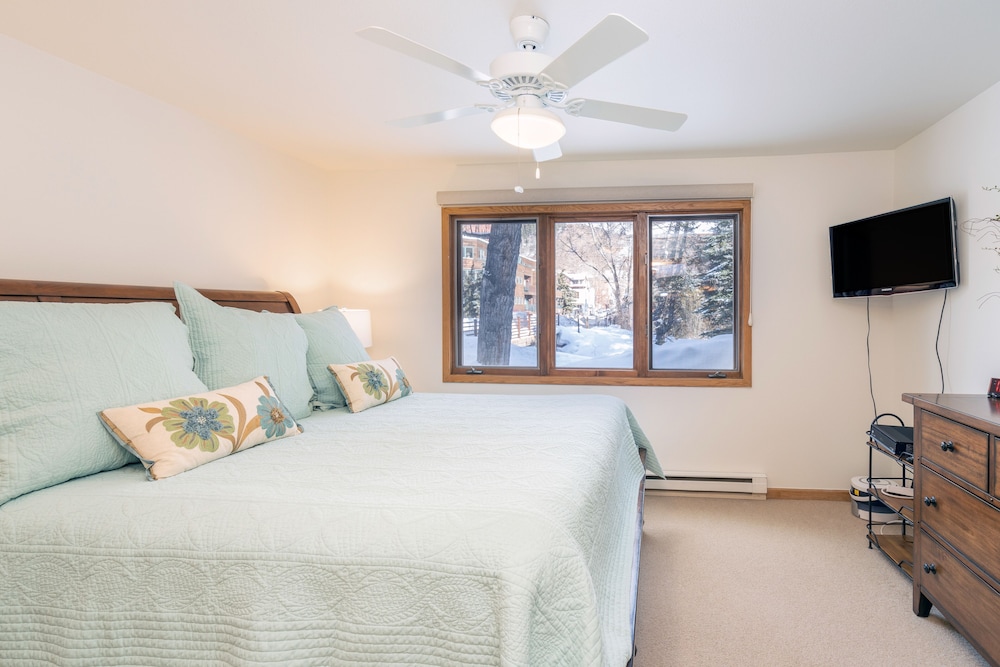 Ski-in Condo With Fireplace, Laundry & Hot Tubs - Walk To Gondola & Main St - Silverton, CO