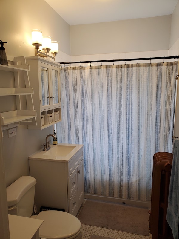 Updated Forest Park 3 Br Bungalow - Belmont Central - Chicago