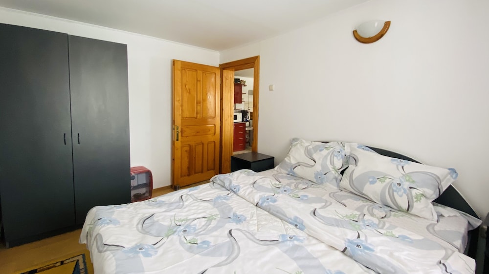Quiet Lodge Located Within Walking Distance From Shops, Cafes And Restaurants - Transilvania