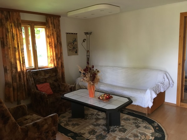 Quiet Lodge Located Within Walking Distance From Shops, Cafes And Restaurants - Suceava