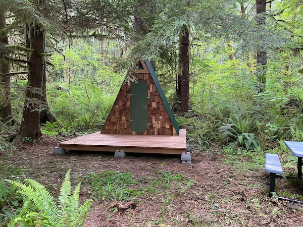 Rustic A-frame Shelter In Enchanted Rain Forest - Site #17 - 福克斯