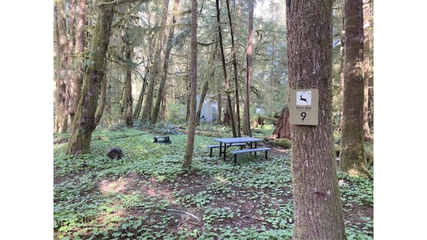 Primitive Tent Site #9- Beautiful Forested Property - フォークス, WA