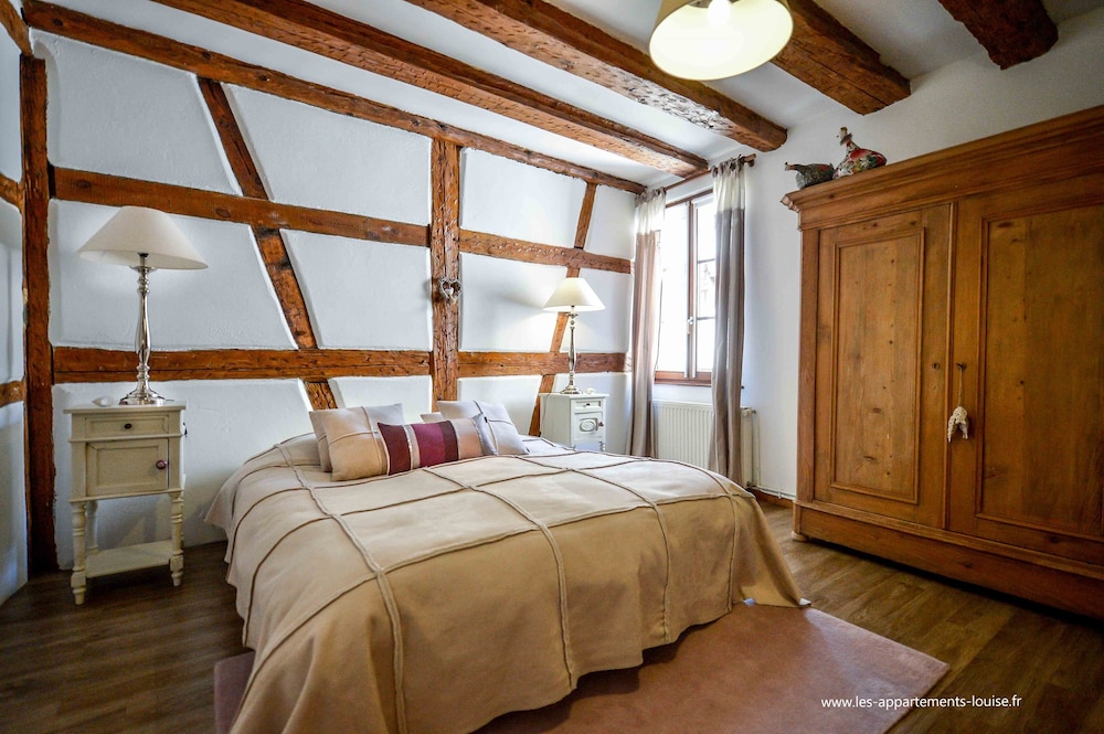 Charming Apartment In A 17th Century Alsatian House. Renovated, Quiet - Mittelwihr
