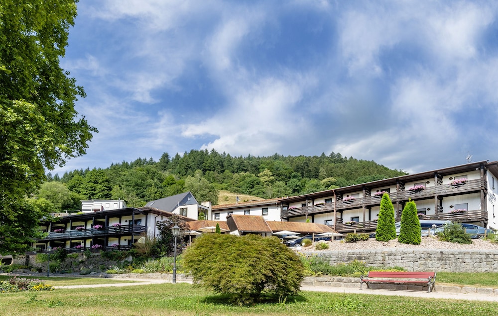 Kurgarten-hotel - Wolfach