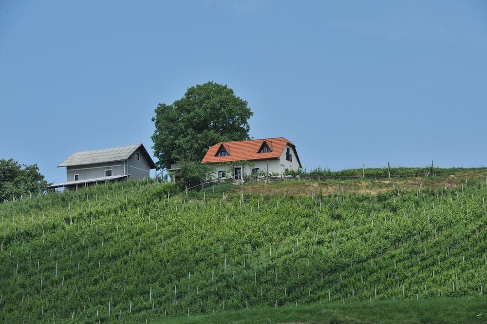 Vineyard Cottage Zdolšek - Šibenik, Slovenia