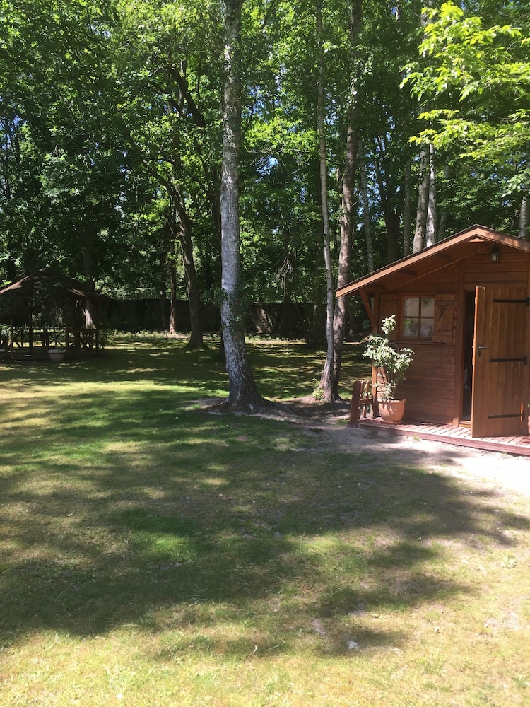 Wooden Chalet Unusual Accommodation In The Middle Of The Wooded Park - Milly-la-Forêt